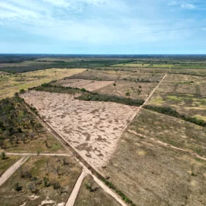 Lee más sobre el artículo En Urbol Este «TU FUTURO ESTA AQUÍ»